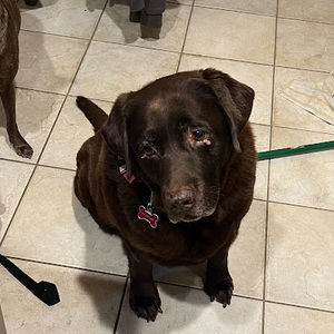 Meet your Posher, Caitlin